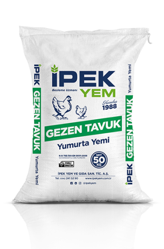YEM ÇEŞİTLERİ