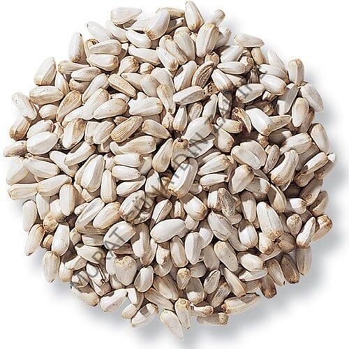 ASPİR TOHUMU ( 1 KG )